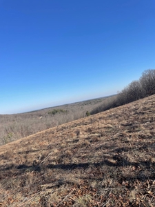 373 Acres of Land for Sale in Ava, Missouri - image 13