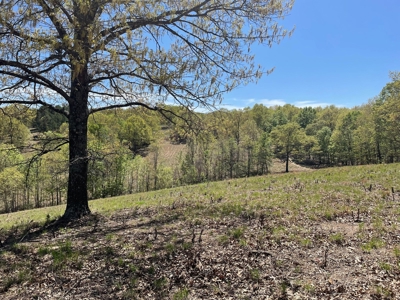 373 Acres of Land for Sale in Ava, Missouri - image 36