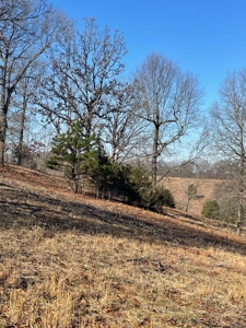 373 Acres of Land for Sale in Ava, Missouri - image 23