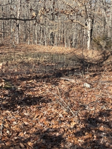373 Acres of Land for Sale in Ava, Missouri - image 31