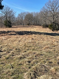 373 Acres of Land for Sale in Ava, Missouri - image 18