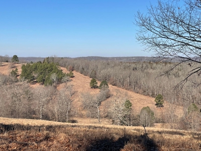 373 Acres of Land for Sale in Ava, Missouri - image 24