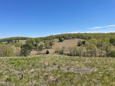 373 Acres of Land for Sale in Ava, Missouri - image 38