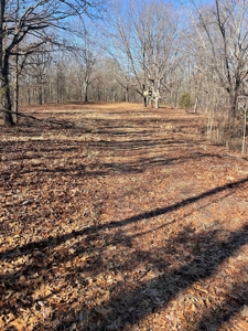 373 Acres of Land for Sale in Ava, Missouri - image 20
