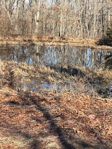 373 Acres of Land for Sale in Ava, Missouri - image 3