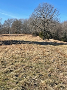 373 Acres of Land for Sale in Ava, Missouri - image 12