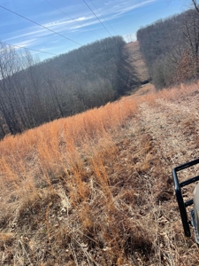 373 Acres of Land for Sale in Ava, Missouri - image 29