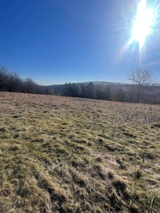 373 Acres of Land for Sale in Ava, Missouri - image 30