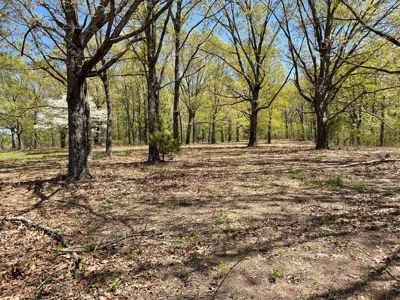 373 Acres of Land for Sale in Ava, Missouri - image 33