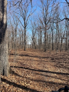 373 Acres of Land for Sale in Ava, Missouri - image 14