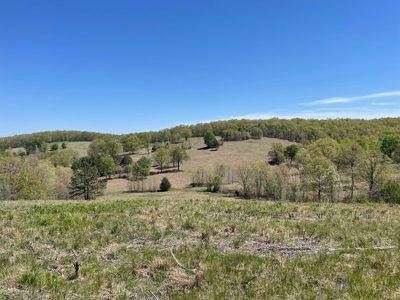 373 Acres of Land for Sale in Ava, Missouri - image 39