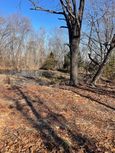 373 Acres of Land for Sale in Ava, Missouri - image 4