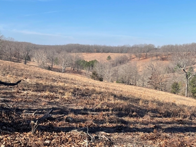 373 Acres of Land for Sale in Ava, Missouri - image 10