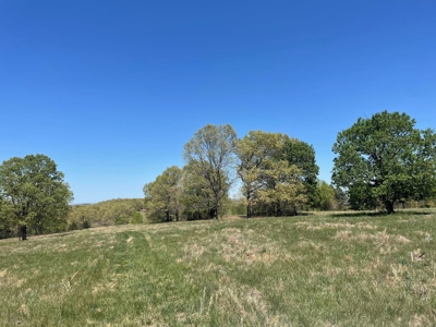 373 Acres of Land for Sale in Ava, Missouri - image 40