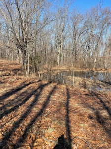 373 Acres of Land for Sale in Ava, Missouri - image 1