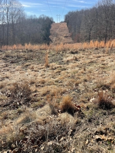 373 Acres of Land for Sale in Ava, Missouri - image 11