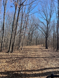 373 Acres of Land for Sale in Ava, Missouri - image 15