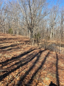 373 Acres of Land for Sale in Ava, Missouri - image 19