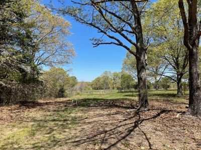 373 Acres of Land for Sale in Ava, Missouri - image 35