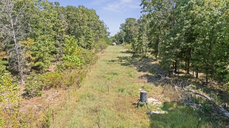 Hunting Property For Sale in Delaware County, Oklahoma - image 11