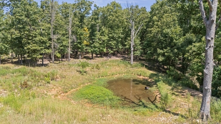 Hunting Property For Sale in Delaware County, Oklahoma - image 12