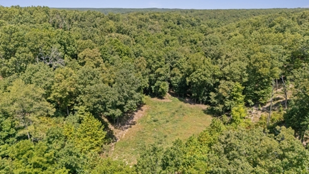 Hunting Property For Sale in Delaware County, Oklahoma - image 16
