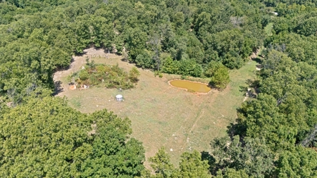 Hunting Property For Sale in Delaware County, Oklahoma - image 13