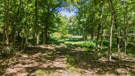 Hunting Property For Sale in Delaware County, Oklahoma - image 25