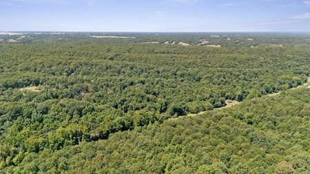 Hunting Property For Sale in Delaware County, Oklahoma - image 18