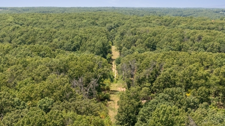 Hunting Property For Sale in Delaware County, Oklahoma - image 28