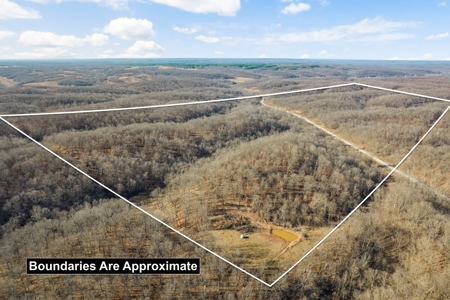 Hunting Property For Sale in Delaware County, Oklahoma - image 1