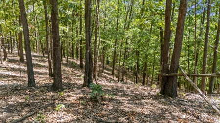 Hunting Property For Sale in Delaware County, Oklahoma - image 24