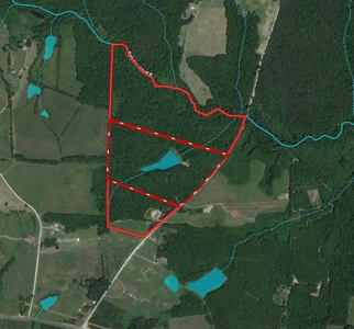 Prime Hunting Retreat: Beech Creek Escape In Southern VA - image 8