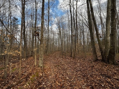 Prime Hunting Retreat: Beech Creek Escape In Southern VA - image 6