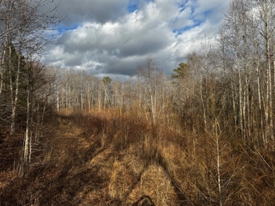 Prime Hunting Retreat: Beech Creek Escape In Southern VA - image 5