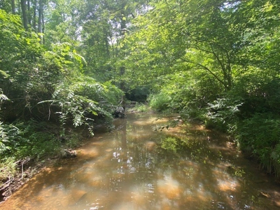 Prime Hunting Retreat: Beech Creek Escape In Southern VA - image 3