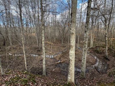 Prime Hunting Retreat: Beech Creek Escape In Southern VA - image 7