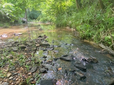 Prime Hunting Retreat: Beech Creek Escape In Southern VA - image 1