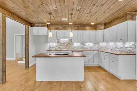Country Home for Sale in Lewis County, Tennessee - image 19