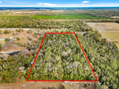 Secluded 10 Acre Wooded Parcel In O'brien, Florida - image 11