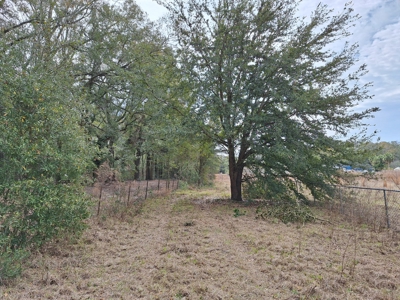 Secluded 10 Acre Wooded Parcel In O'brien, Florida - image 7