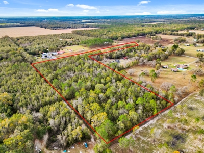 Secluded 10 Acre Wooded Parcel In O'brien, Florida - image 9