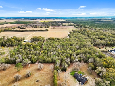 Secluded 10 Acre Wooded Parcel In O'brien, Florida - image 13