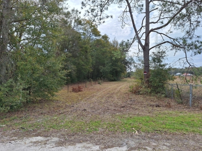 Secluded 10 Acre Wooded Parcel In O'brien, Florida - image 8