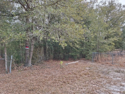 Secluded 10 Acre Wooded Parcel In O'brien, Florida - image 5