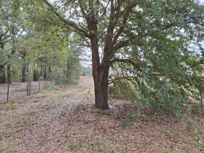 Secluded 10 Acre Wooded Parcel In O'brien, Florida - image 6