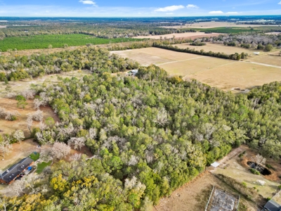 Secluded 10 Acre Wooded Parcel In O'brien, Florida - image 12