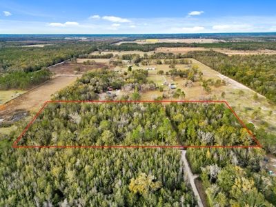 Secluded 10 Acre Wooded Parcel In O'brien, Florida - image 10