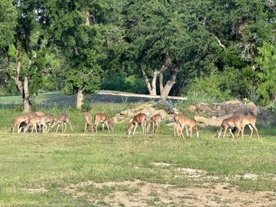 Resort Living Starts Here in Central Texas! - image 4