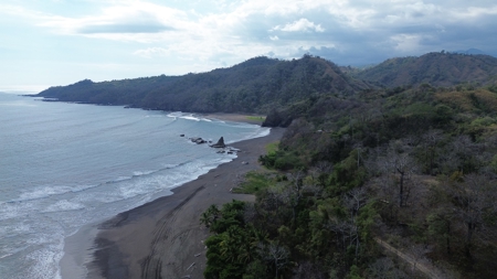 Oceanfront Land for Sale in Cambutal Panama *Recently Sold* - image 13